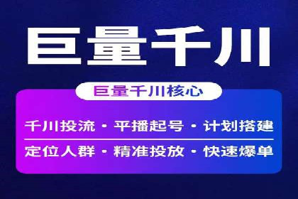 竞价代运营助力电商销量翻倍案例